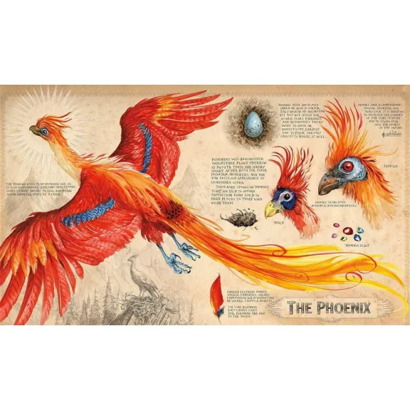 Harry Potter és a Titkok Kamrája – illusztrált könyv, angol Harry Potter és a Titkok Kamrája – illusztrált könyv, angol