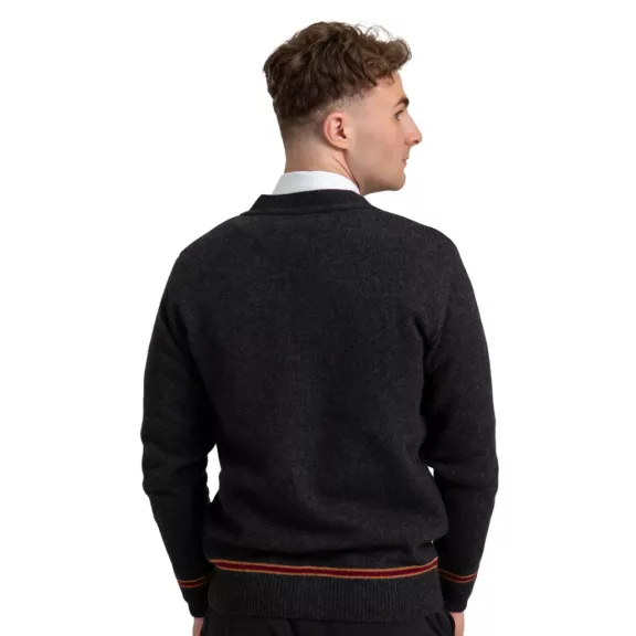 Harry Potter - Griffendél V-nyakú kardigán
