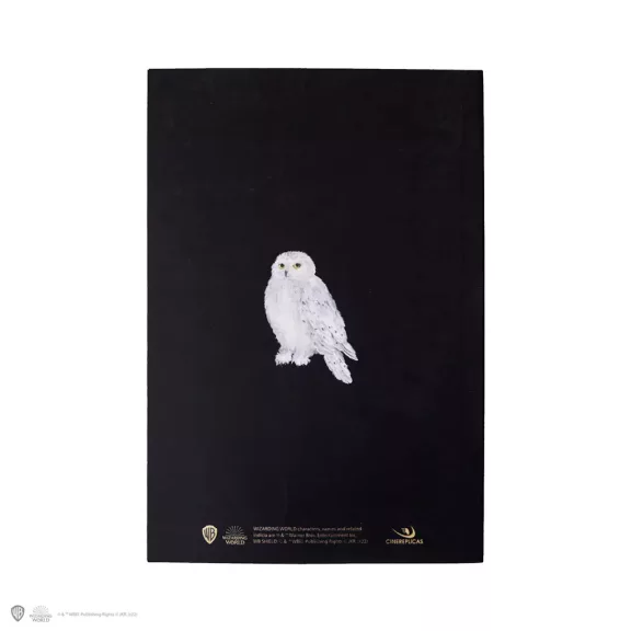 Harry Potter - Harry portrés puhafedeles jegyzetfüzet