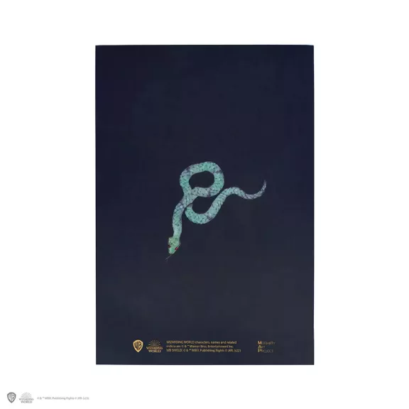 Harry Potter - Draco Malfoy portré puhafedeles jegyzetfüzet