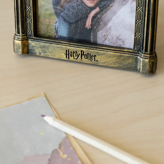 Harry Potter - Edevis Tükre 3D képkeret Harry Potter - Edevis Tükre 3D képkeret